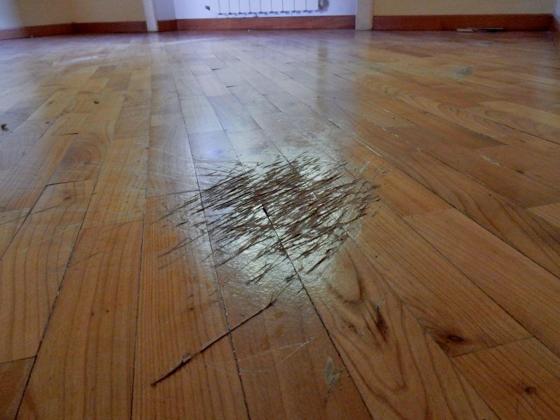 Squeaky Wood Floor Repair